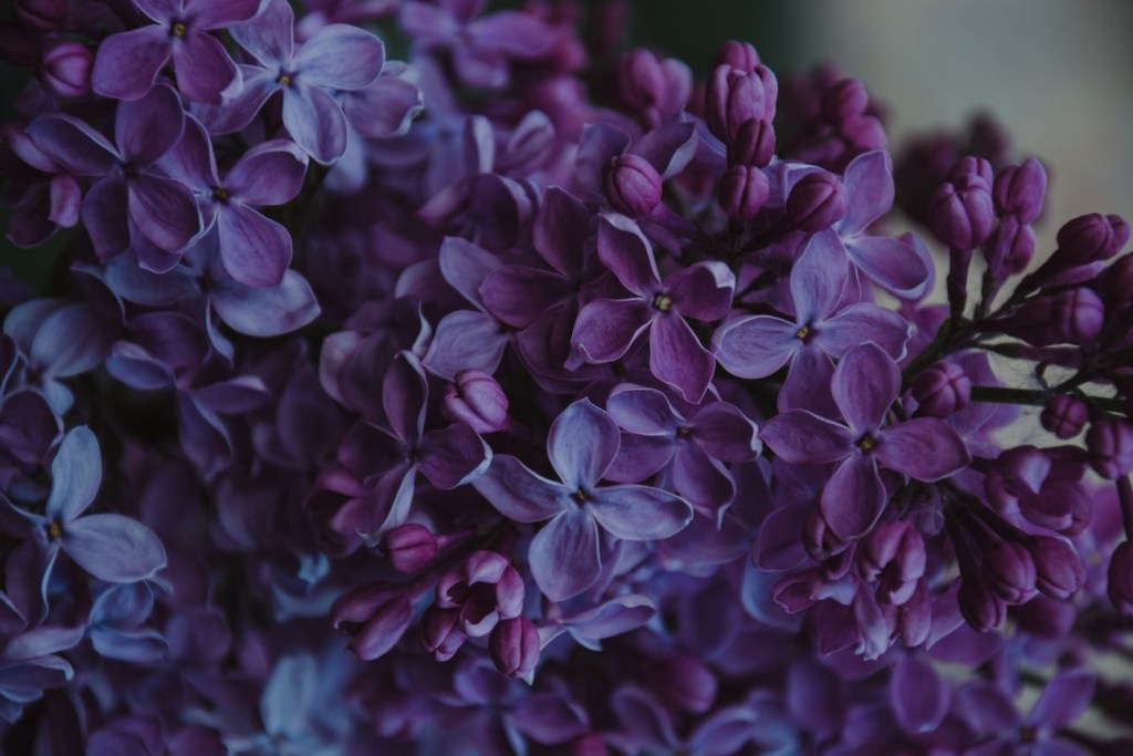 If God is not enough, someone else won’t be&nbsp;either