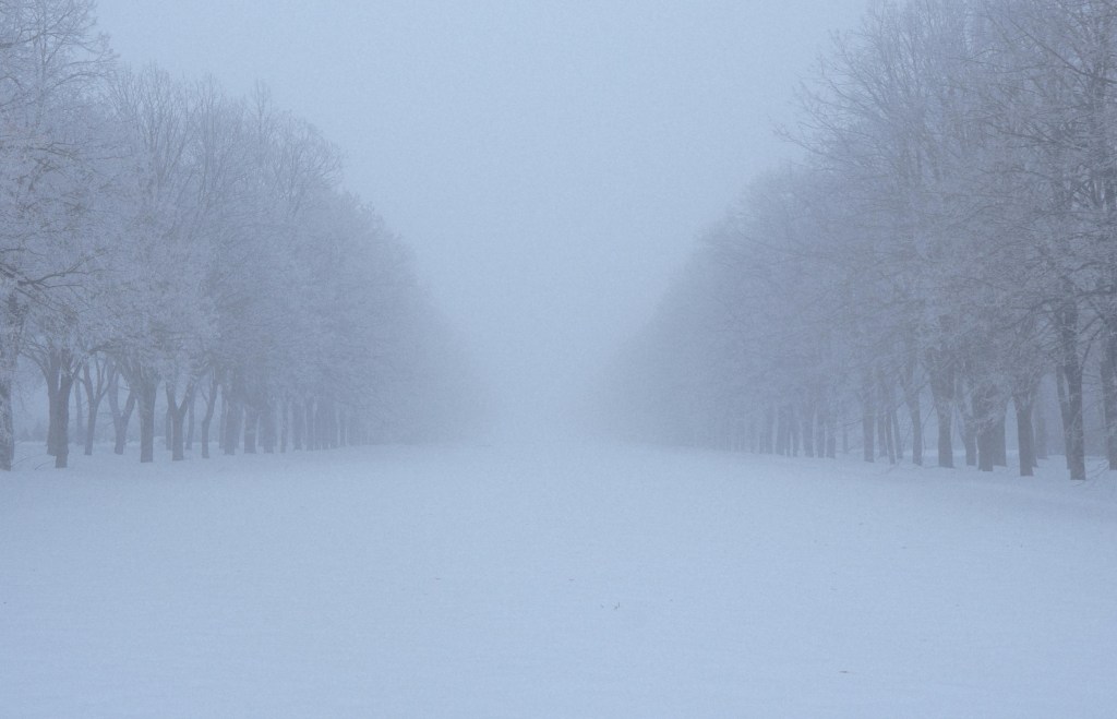 Favorite January artist